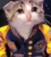 Hypixel Losers
